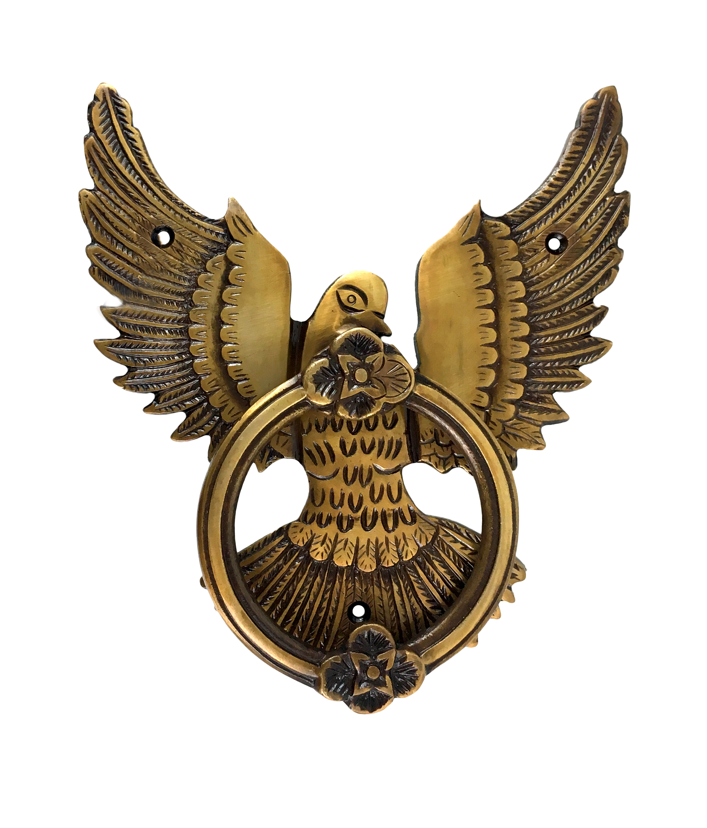 Open Winged Eagle Design Brass Door Knocker (Multicolored)